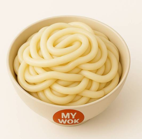 Nouilles Udon