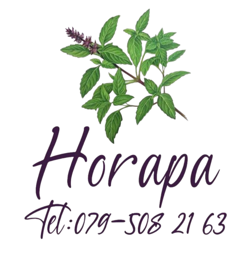 Thai Horapa