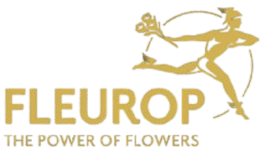 Hertig Fleurs - Fleurop Blumen