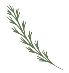 Restaurant Maggenberg
